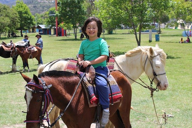 Free download boy horse happiness childhood farm free picture to be edited with GIMP free online image editor