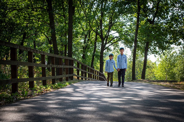 Free download boys walking forest kids childhood free picture to be edited with GIMP free online image editor