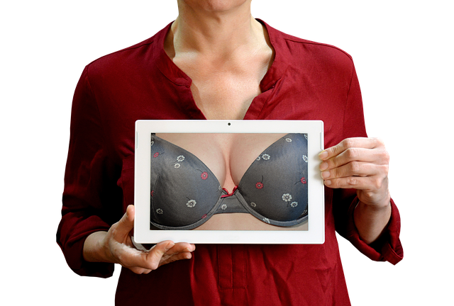 Free download bra banner girl female woman free picture to be edited with GIMP free online image editor