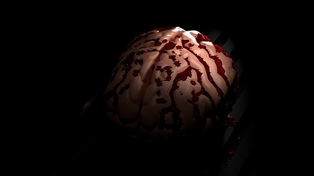 Free download Brain Black Mind Human -  free illustration to be edited with GIMP free online image editor