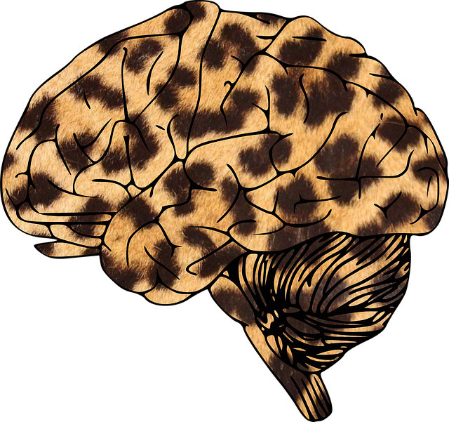 Free download Brain Leopard Animal-Print - Free vector graphic on Pixabay free illustration to be edited with GIMP free online image editor