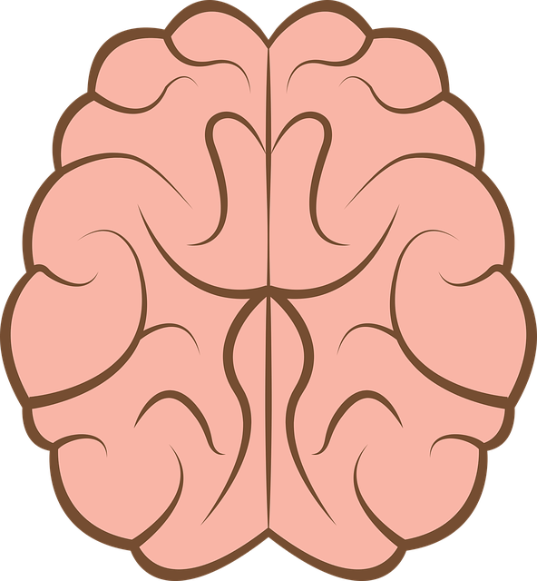 Free download Brain Mind Psychology - Free vector graphic on Pixabay free illustration to be edited with GIMP free online image editor