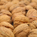 Brain nourishing food  screen for extension Chrome web store in OffiDocs Chromium