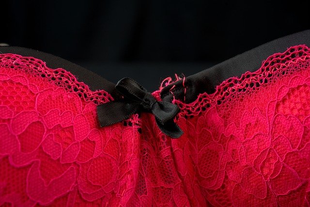 Free download bra red underwear sexy woman free picture to be edited with GIMP free online image editor