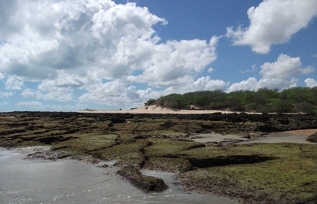 Descărcare gratuită Brazilia Areia Branca Beach - fotografie sau imagine gratuită pentru a fi editată cu editorul de imagini online GIMP