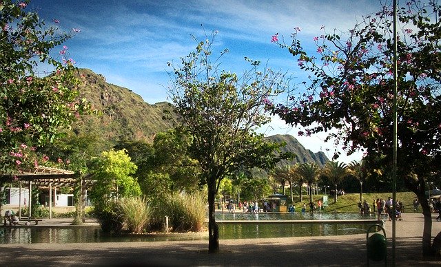 Безкоштовно завантажте Brazil Parque Mangabeiras Belo - безкоштовну фотографію чи зображення для редагування за допомогою онлайн-редактора зображень GIMP