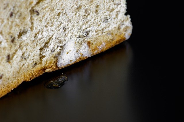 Download gratuito Bread Frozen Vegetarian Organic - foto o immagine gratuita da modificare con l'editor di immagini online di GIMP