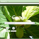 Breadfruit Tree  screen for extension Chrome web store in OffiDocs Chromium