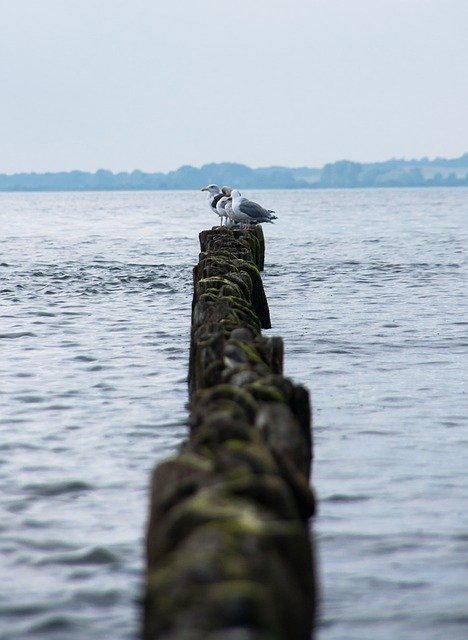 Free download Breakwater Baltic Sea -  free photo or picture to be edited with GIMP online image editor