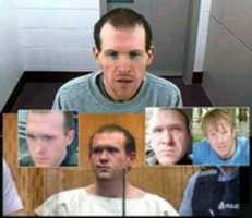 Free download Brenton Harrison Tarrant - Five Photos free photo or picture to be edited with GIMP online image editor