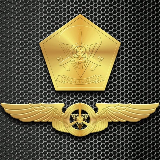 Free download Brevet Inspector -  free illustration to be edited with GIMP free online image editor