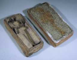 Free download Brick, germinating free photo or picture to be edited with GIMP online image editor