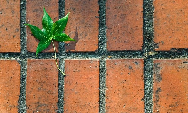 Kostenloser Download Bricks Green Leaf - kostenloses Foto oder Bild zur Bearbeitung mit GIMP Online-Bildbearbeitung