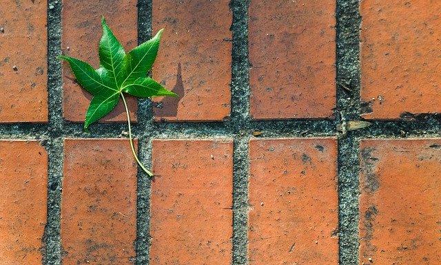 Baixe grátis Bricks Green Leaf - foto ou imagem grátis para ser editada com o editor de imagens online GIMP