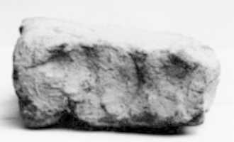 Free download Brick Stamped with a Funerary Cone Seal free photo or picture to be edited with GIMP online image editor