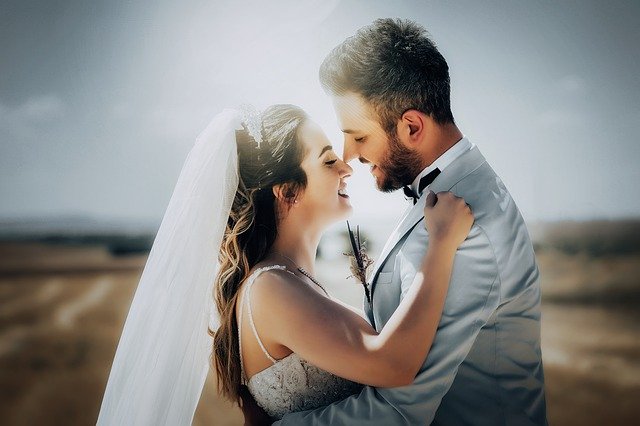 Muat turun percuma Perkahwinan Menantu Pengantin - foto atau gambar percuma percuma untuk diedit dengan editor imej dalam talian GIMP