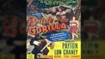 Free download brideofthegorilla free photo or picture to be edited with GIMP online image editor