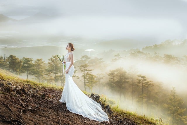 Free download bride wedding wedding dress forest free picture to be edited with GIMP free online image editor