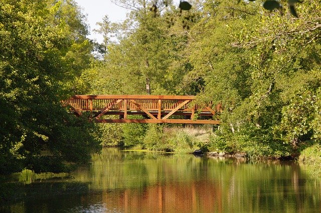 Descărcare gratuită Bridge Architecture Landscape - fotografie sau imagini gratuite pentru a fi editate cu editorul de imagini online GIMP