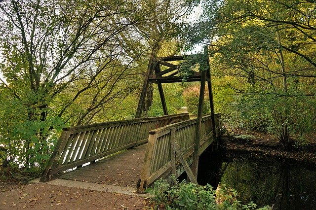 Muat turun percuma Bridge Case Autumn - foto atau gambar percuma untuk diedit dengan editor imej dalam talian GIMP