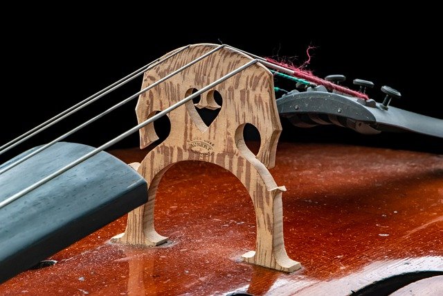 Free graphic bridge cello musical instrument to be edited by GIMP free image editor by OffiDocs