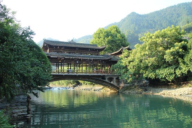 Muat turun percuma Bridge Green Plants Thousand - foto atau gambar percuma untuk diedit dengan editor imej dalam talian GIMP