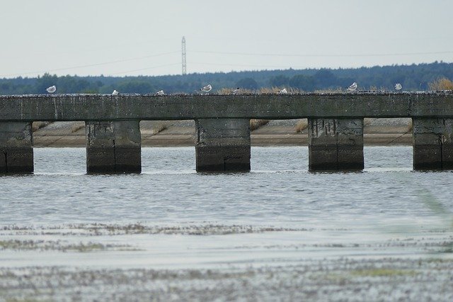 Free download Bridge Lagoon Way -  free photo or picture to be edited with GIMP online image editor