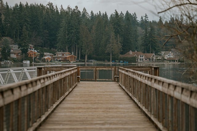 Free download bridge lake country scenery free picture to be edited with GIMP free online image editor