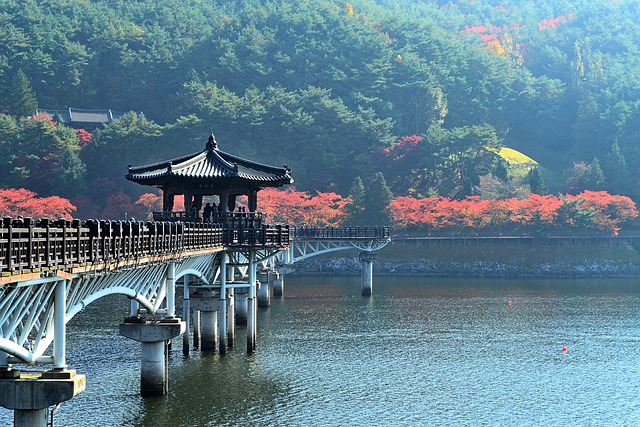 Free download bridge lake forest autumn korea free picture to be edited with GIMP free online image editor
