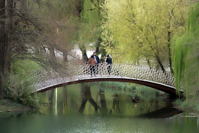 Free download bridge lake park landscape people free picture to be edited with GIMP free online image editor