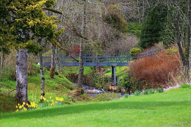 Free download Bridge Landscape Scotland -  free photo or picture to be edited with GIMP online image editor