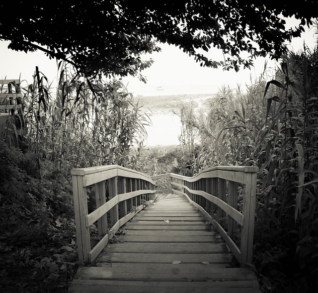 Free download bridge life black and white people free picture to be edited with GIMP free online image editor