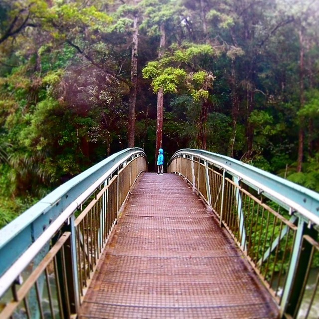 Free download bridge night if new zealand free picture to be edited with GIMP free online image editor