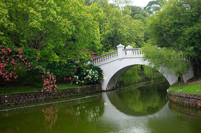 تنزيل مجاني Bridge River Green - صورة مجانية أو صورة ليتم تحريرها باستخدام محرر الصور عبر الإنترنت GIMP
