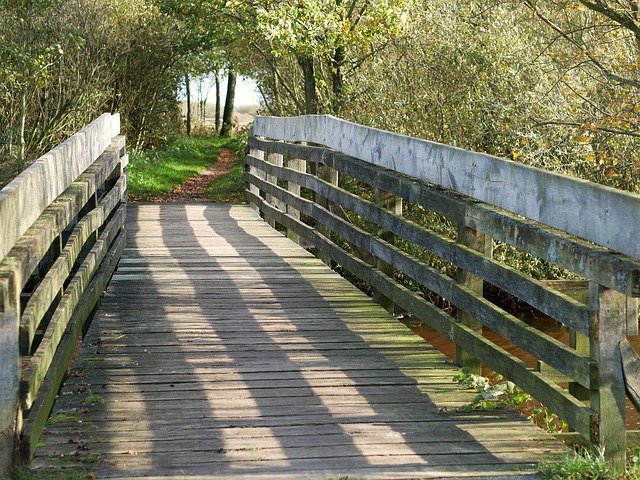 Template Photo Bridge Teufelsmoor Wood -  for OffiDocs