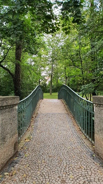 Free download Bridge Transition Forest -  free photo or picture to be edited with GIMP online image editor