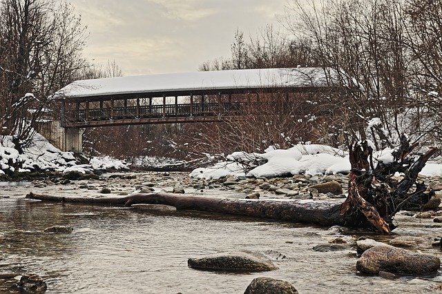 Безкоштовно завантажте безкоштовний шаблон фотографій Bridge Tree Nature для редагування в онлайн-редакторі зображень GIMP