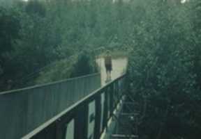 Free download Bridge, Walkway, Forest, Woods free photo or picture to be edited with GIMP online image editor