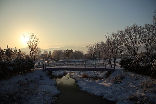 Muat turun percuma jambatan musim sejuk sungai salji cahaya matahari gambar percuma untuk diedit dengan editor imej dalam talian percuma GIMP