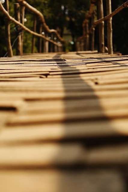 Free download Bridge Wood Nature -  free photo or picture to be edited with GIMP online image editor