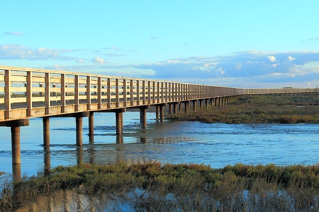 ดาวน์โหลดฟรี Bridge Wood Water - ภาพถ่ายหรือรูปภาพฟรีที่จะแก้ไขด้วยโปรแกรมแก้ไขรูปภาพออนไลน์ GIMP