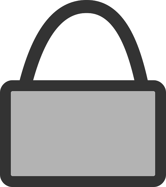 Free download Briefcase Encrypted Secure - Free vector graphic on Pixabay free illustration to be edited with GIMP free online image editor