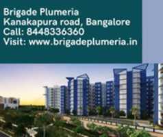 Free download Brigade Plumeria Kanakapura Road, Bangalore | Call: 8448336360 free photo or picture to be edited with GIMP online image editor