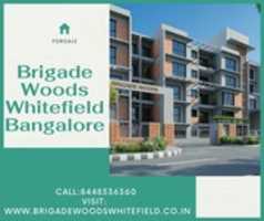 Free download Brigade Woods Bangalore free photo or picture to be edited with GIMP online image editor
