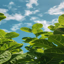 Bright green leaf wallpaper  screen for extension Chrome web store in OffiDocs Chromium
