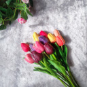 Bright plastic flowers  screen for extension Chrome web store in OffiDocs Chromium