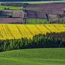 Bright yellow fields  screen for extension Chrome web store in OffiDocs Chromium