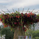 Brilliant flower disc ring  screen for extension Chrome web store in OffiDocs Chromium