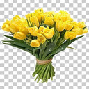 brilliant purple flowers  screen for extension Chrome web store in OffiDocs Chromium