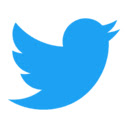 Bring Twitter bird back  screen for extension Chrome web store in OffiDocs Chromium